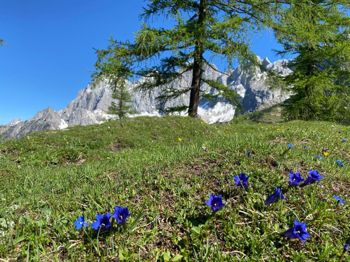 Haus Sonnleitner Apartamento Ramsau am Dachstein Exterior foto
